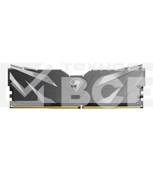 Оперативная память NETAC, DDR4, 8GB, (1x8GB), 2666MHz, CL19, с радиатором, черный