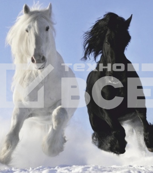 Грелка электрическая - Обогреватель настенный ЭОБН-0,4-220-УХЛ4, Дыхание тепла, Пегас, Брест (1020x610мм), 400 Вт (19с425)