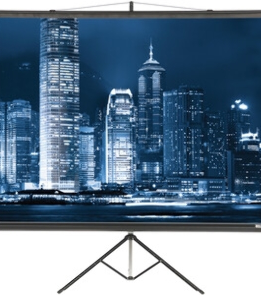 Экран на треноге Lumien 203x203см Master View LMV-100109 1:1 напольный рулонный