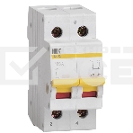 Выключатель нагрузки Iek MNV10-2-100 (мини-рубильник) ВН-32 2Р 100А ИЭК, фото2