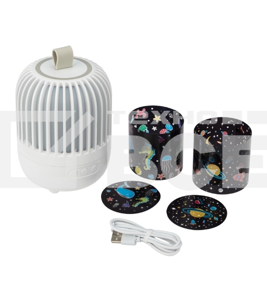 Светодиодный ночник-проектор Neon-night Melony