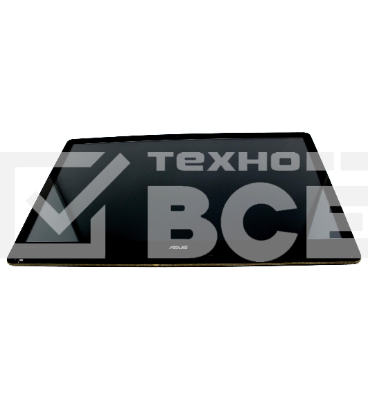 Модуль (матрица + тачскрин) для Asus ZN270