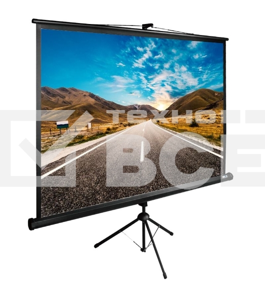 Экран Cactus 160x160см TriExpert CS-PSTE-160x160-BK 1:1 напольный рулонный