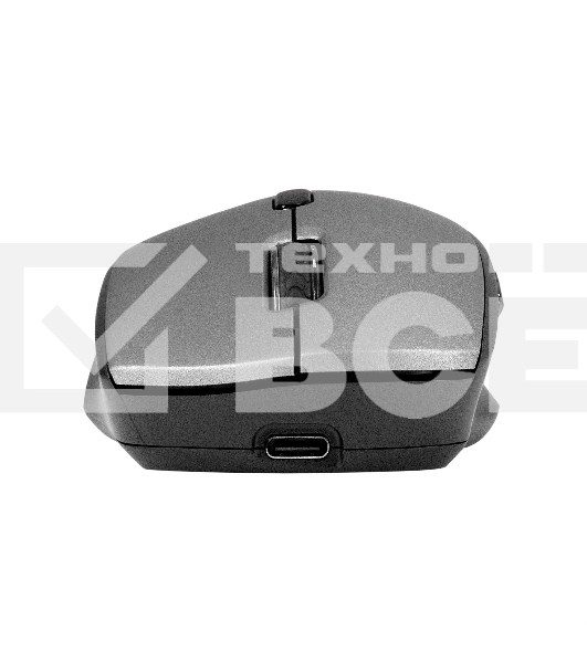 Мышь беспроводная ExeGate Professional Standard BT-070 черный, 1600 dpi, радиоканал, Bluetooth, USB, кнопки - 6