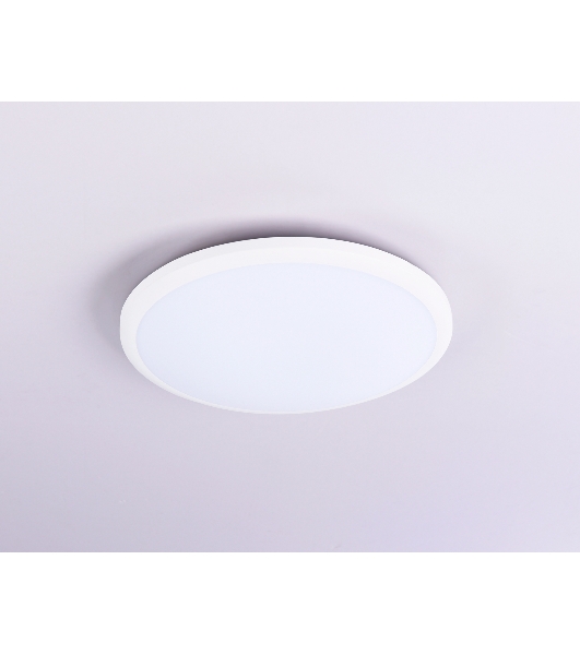 Потолочный светодиодный светильник Ambrella light FZ1230 WH белый IP44 22W 6400К D260*55 (Без ПДУ)