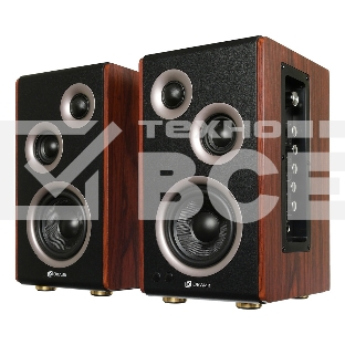 Колонки Oklick OK-117 BT 2.0 черный 80Вт беспроводные BT