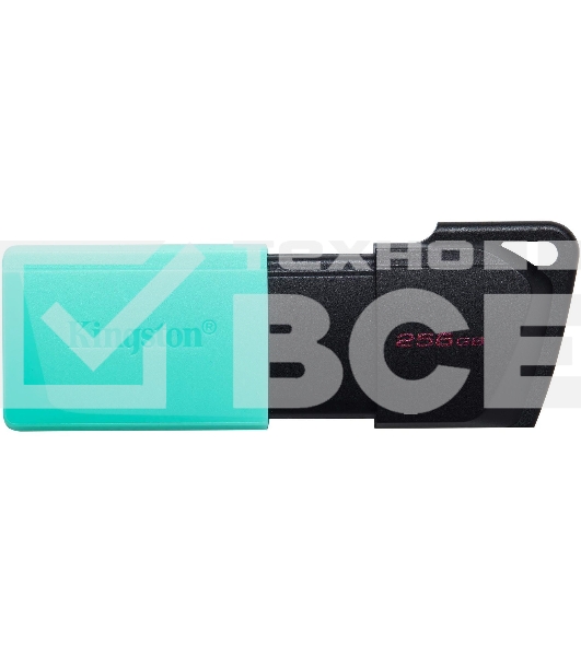 Флеш диск Kingston 256Gb DataTraveler DTXM DTXM/256GB USB3.2 черный/зеленый