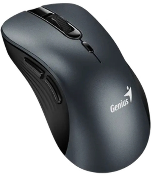 Мышь беспроводная Genius Ergo 8100S черный, 1600 dpi, радиоканал, USB, кнопки - 6