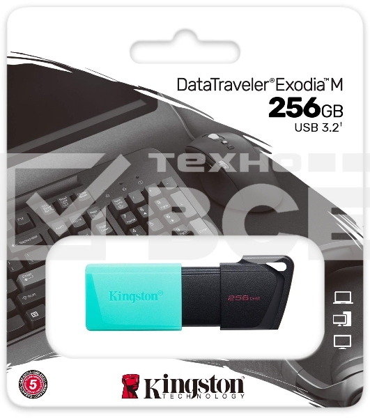 Флеш диск Kingston 256Gb DataTraveler DTXM DTXM/256GB USB3.2 черный/зеленый