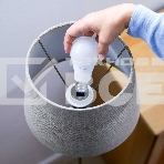 Лампа светодиодная WiZ Wi-Fi BLE 60W A60 E27 927 DIM1PF/6, фото7