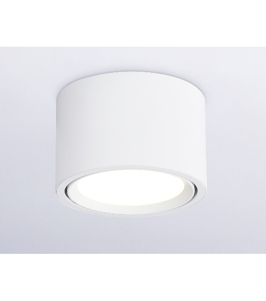 Светильник накладной TN6805 WH белый GX53 D100*65