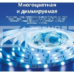 Умная светодиодная Wi-Fi лента Tapo Smart Light Strip 5m, cut to size every 10cm, one adapter, one controller, фото 1