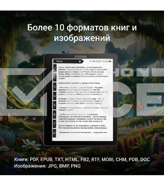 Электронная книга Digma F4 5.83