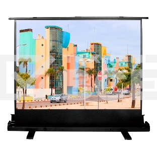 Экран Cactus 120x160 см FloorExpert CS-PSFLE-160X120 4:3 напольный рулонный