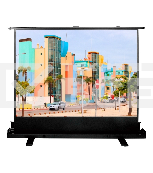 Экран Cactus 120x160 см FloorExpert CS-PSFLE-160X120 4:3 напольный рулонный