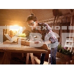Мини-цепная пила BOSCH EasyCut 12 (0.603.3C9.020)12В 1х2,5Ач LI-ION 65мм, фото 1