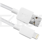 Кабель USB2.0 TO TYPE-C 1M USB08-01C 87495 Defender, фото 1