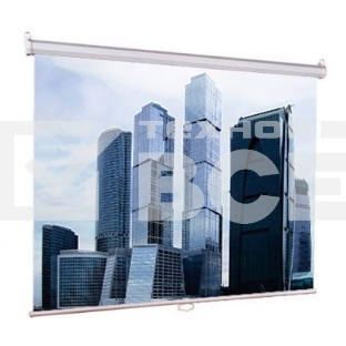 Экраны  LUMIEN Eco Picture LEP-100101,  150х150 см, 1:1