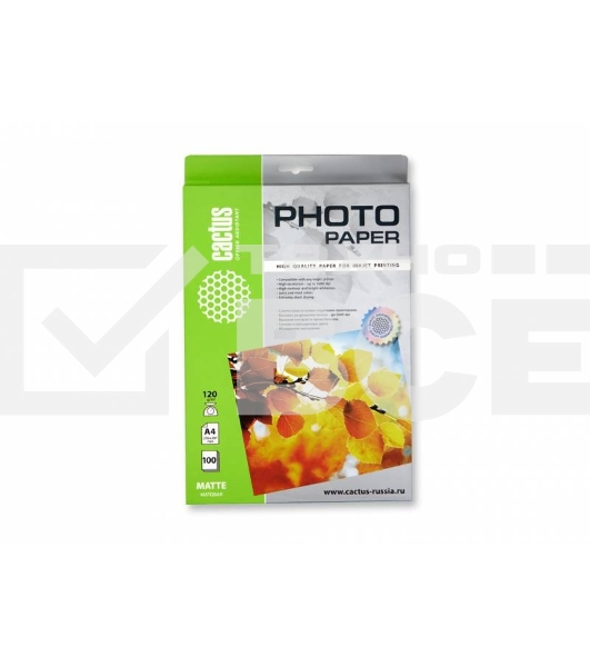 Фотобумага Cactus CS-MA4120100 A4/120г/м2/100л. матовая для струйной печати