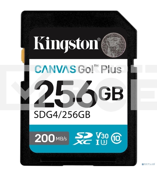 Флеш карта SDXC 256Gb Kingston SDG4/256Gb Canvas Go! Plus V30