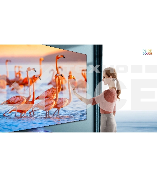 Телевизор Hisense 100