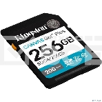 Флеш карта SDXC 256Gb Kingston SDG4/256Gb Canvas Go! Plus V30, фото5