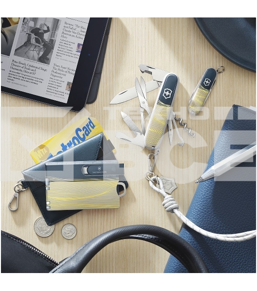 Кольцо для ключей Victorinox (4.1895.E) серый блистер