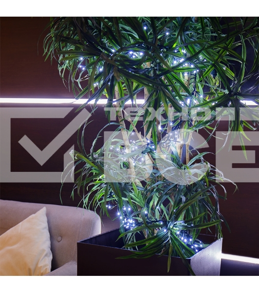 Гирлянда «Кластер LED» 3 м, темно-зеленый ПВХ IP20, 288 диодов, цвет белый