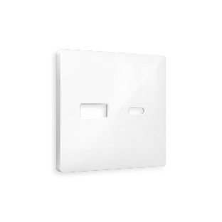 Лицевая панель ALFA (Белый глянец) для розетки 2USB тип A+C QUANT AP1110
