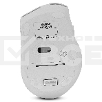 Мышь беспроводная SVEN RX-425W белый, 1600 dpi, радиоканал, USB, кнопки - 6, фото3