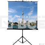 Экран на штативе Lumien Eco View 180x180см (раб.область 174х174 см) Matte White с возможностью настенного крепления 1:1, фото3