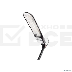 Лампа настольная CAMELION KD-017A С0211W черный в к-те база+струбцина, фото4