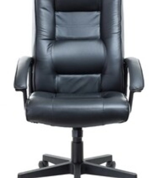 Кресло руководителя Бюрократ T-9906N/BLACK черный, кожа