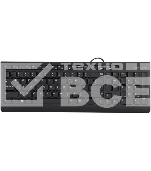 Клавиатура проводная Lenovo GX30M39684 300 USB Keyboard