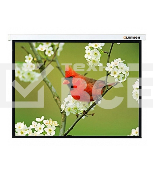 Экран Lumien 305x305см Master Picture LMP-100107 1:1 настенно-потолочный рулонный