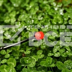 Капельница Deko DKI1 (065-0895), фото4