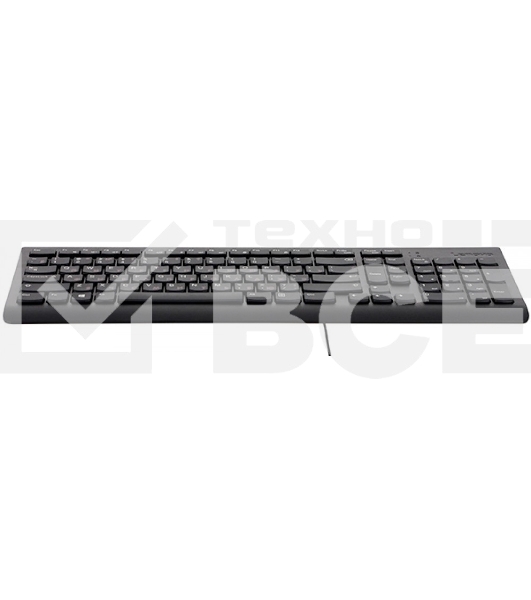 Клавиатура проводная Lenovo GX30M39684 300 USB Keyboard