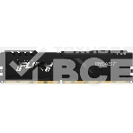 Оперативная память Kingston Fury Beast, DDR4, 8GB (1x8GB), 3600MHz, CL17, с радиатором, черны, фото5