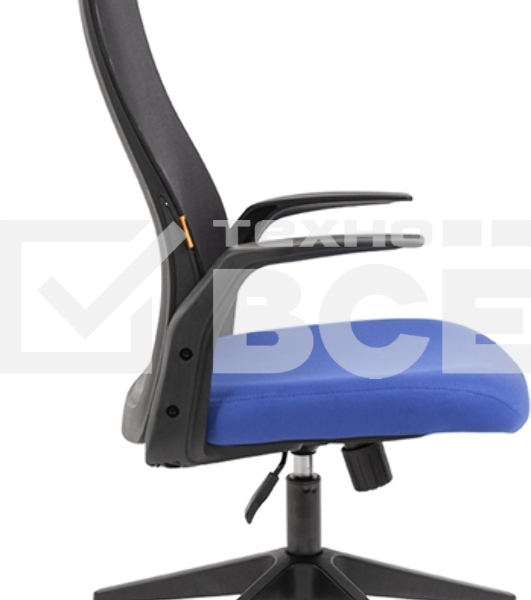 Кресло офисное Chairman 573 Россия черный/синий (7134742)