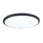 Потолочный светодиодный светильник Ambrella light FZ1235 BK черный IP44 48W 6400К D450*55 (Без ПДУ), фото11