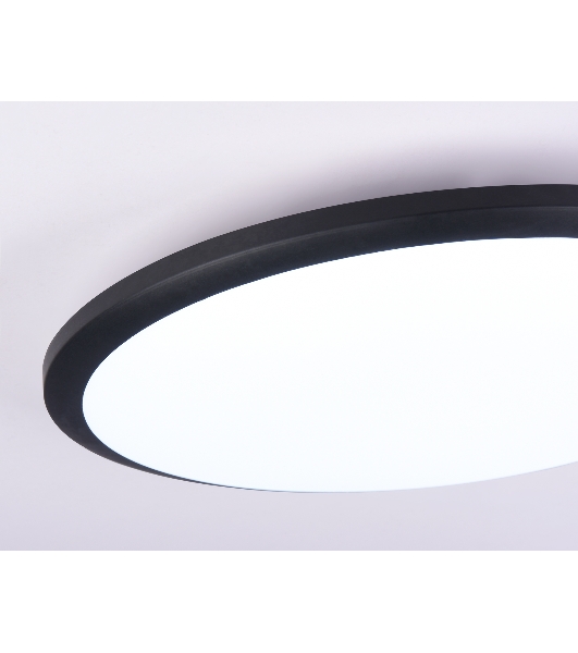 Потолочный светодиодный светильник Ambrella light FZ1235 BK черный IP44 48W 6400К D450*55 (Без ПДУ)