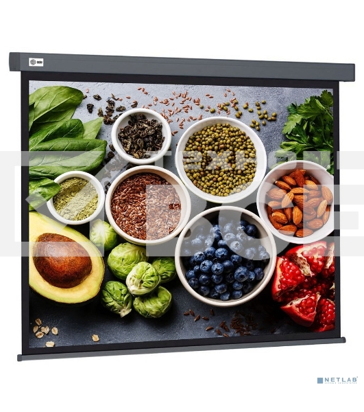 Экран Cactus 150x150см Wallscreen CS-PSW-150X150-SG 1:1 настенно-потолочный рулонный серый