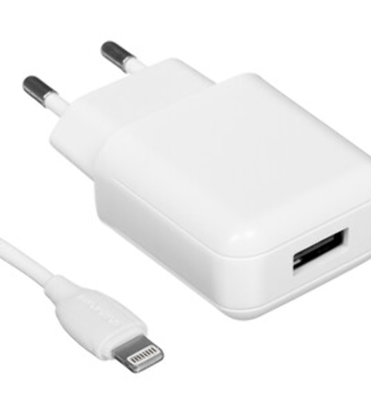 Сетевое зарядное устройство BOROFONE (6941991117428) BA84Aai белый