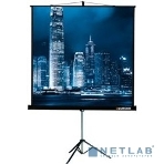 Экран на штативе Lumien Master View 127x127 см Matte White FiberGlass (LMV-100101), фото5