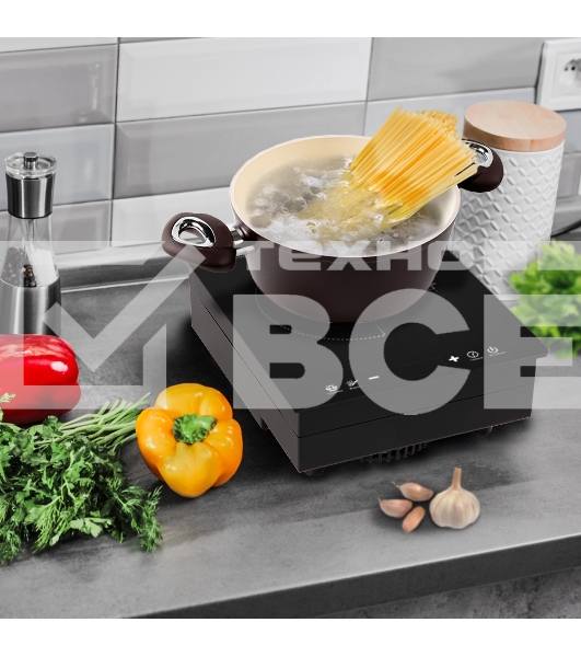 Индукционная плитка Endever Skyline IP-51