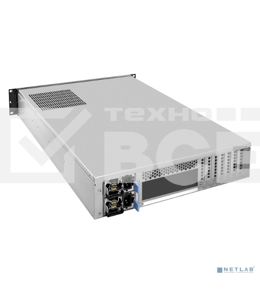 Серверная платформа ExeGate EX293877RUS Pro 2U650-06/2U2098L <RM 19