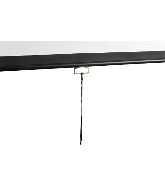 Экран 229x308см Digis Optimal-D DSOD-4306 4:3 настенно-потолочный рулонный