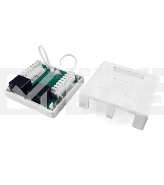 Розетка компьютерная RJ-45(8P8C) Hyperline, категория 5e, двойная, внешняя, Dual IDC