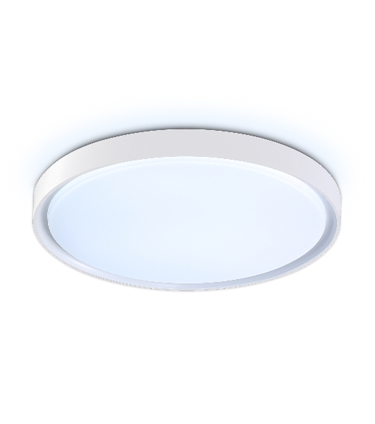 Потолочный светодиодный светильник Ambrella light FZ1246 WH белый IP54 12W 5000K D240*60 (Без ПДУ)