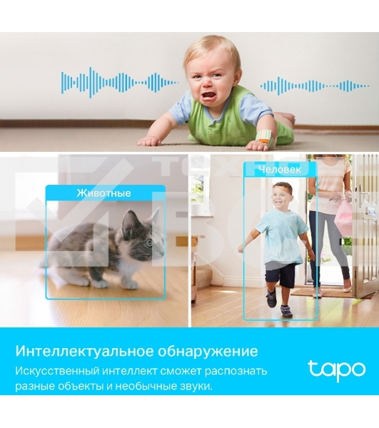 Умная домашняя поворотная камера TP-Link Tapo C225